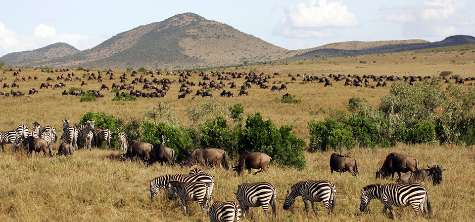 Kenya