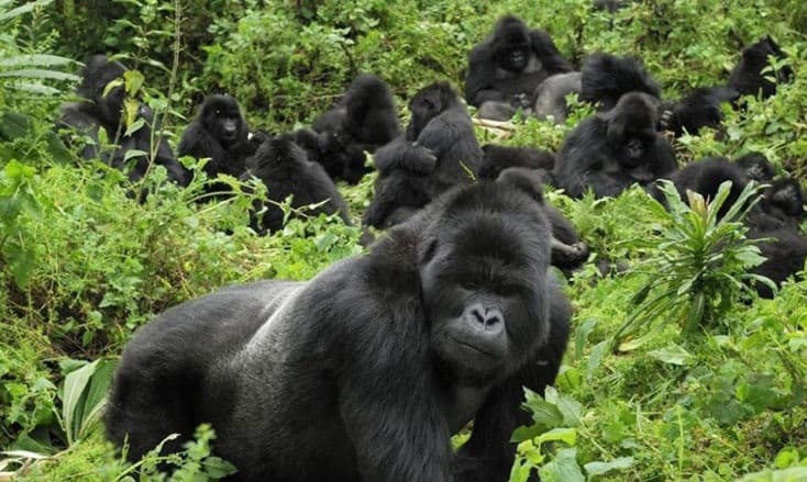 Rwanda